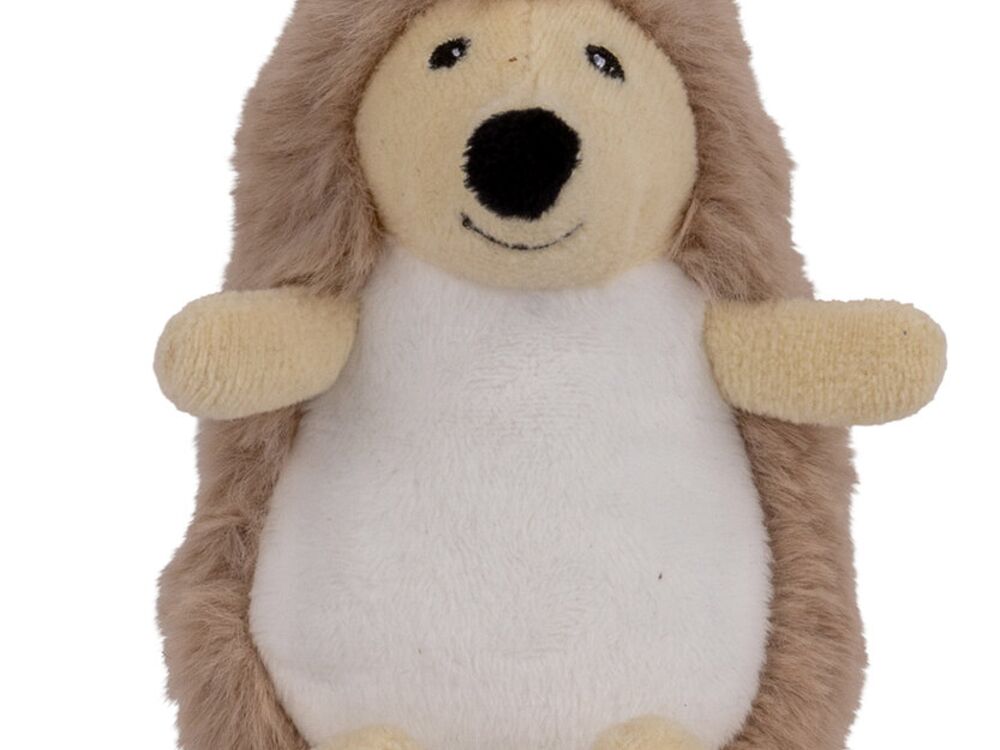 Accessories Thumbnail