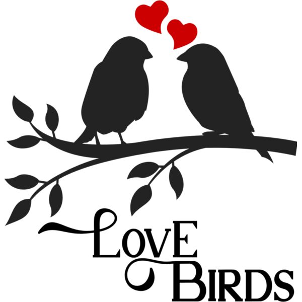 Love Birds Thumbnail