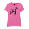 Softstyle™ women's ringspun t-shirt Thumbnail