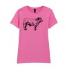 Softstyle™ women's ringspun t-shirt Thumbnail
