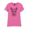Softstyle™ women's ringspun t-shirt Thumbnail