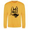 AWDis sweatshirt. Thumbnail