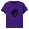 Softstyle™ youth ringspun t-shirt Thumbnail