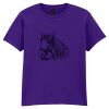 Softstyle™ youth ringspun t-shirt Thumbnail