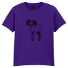 Softstyle™ youth ringspun t-shirt Thumbnail