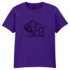 Softstyle™ youth ringspun t-shirt Thumbnail