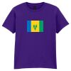 Softstyle™ youth ringspun t-shirt Thumbnail