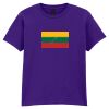 Softstyle™ youth ringspun t-shirt Thumbnail
