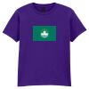 Softstyle™ youth ringspun t-shirt Thumbnail