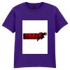 Softstyle™ youth ringspun t-shirt Thumbnail