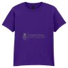 Softstyle™ youth ringspun t-shirt Thumbnail