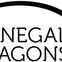 Donegal Dragons Thumbnail